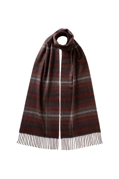 Johnstons Of Elgin Soft Blur Check Purple Cashmere Scarf In Brown