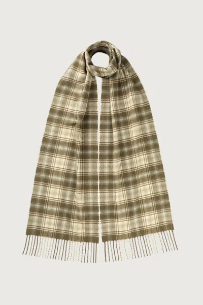 Johnstons Of Elgin Tweed Olive Green Cashmere Scarf In Multi