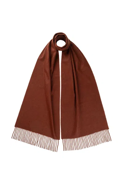 Johnstons Of Elgin Wide Cashmere Scarf In Brown
