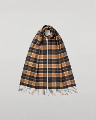 Johnstons Of Elgin Windowpane Check Cashmere & Vicuña Scarf In Brown