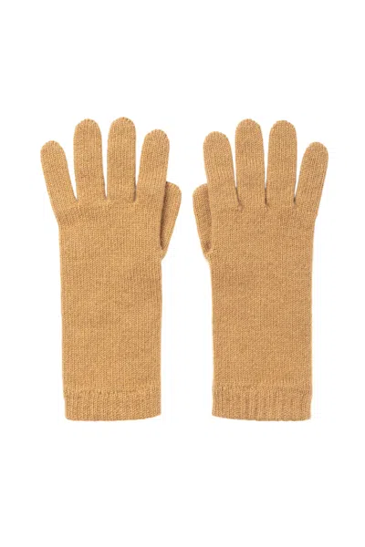 Johnstons Of Elgin Women's Cashmere Camel Gloves In Brown