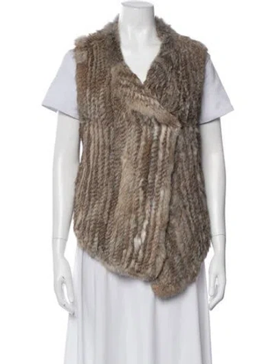 Pre-owned Joie Animal Print Fur Jacket In Neutrals
