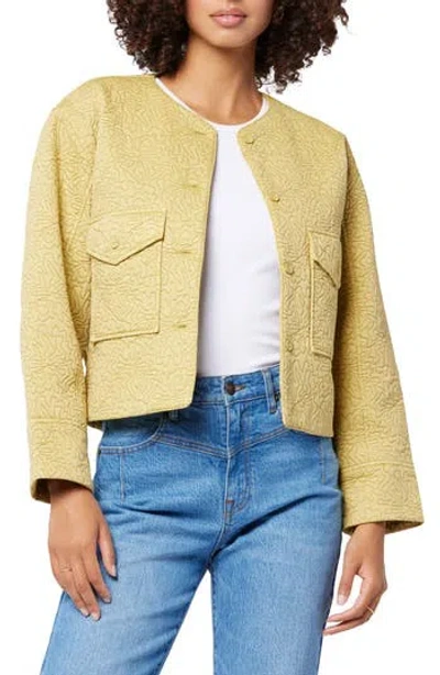 Joie Brooke Quilted Cotton Jacket In Olive Oil