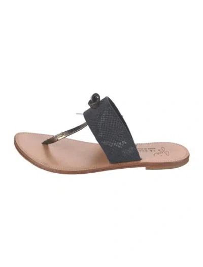 Pre-owned Joie Leather Animal Print Flip Flops In Black/neutrals