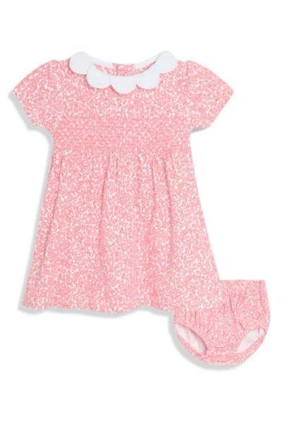 Jojo Maman Bébé Babies' Jojo Maman Bebe Floral Cotton Dress & Bloomers