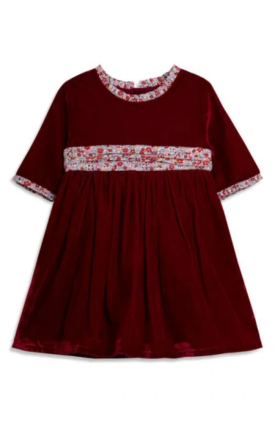 Jojo Maman Bébé Babies' Jojo Maman Bebe Floral Trim Velvet Dress In Red