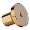 Jolie The  Filtered Showerhead - Brushed Gold In Gold