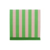 Jollity & Co . Camp Bachelorette Stripe Cocktail Napkins In Green