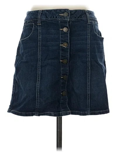 Pre-owned Jolt Denim Skirt In Blue