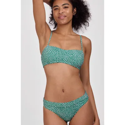 Jolyn Alanna Bikini Bottom In Blue