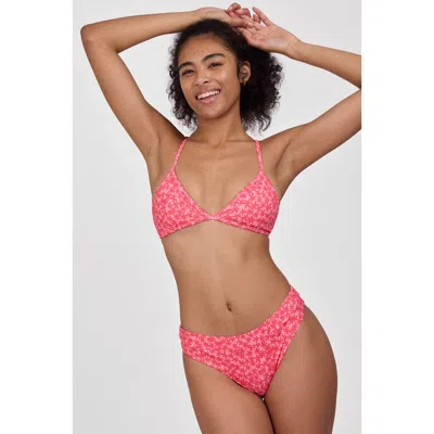 Jolyn Alanna Bikini Bottom In Orange