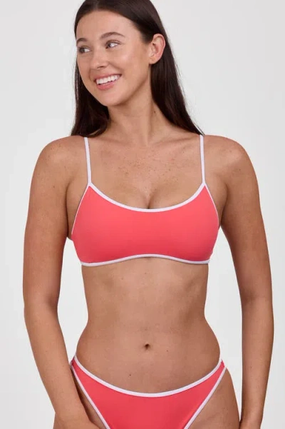 Jolyn Amanda Bikini Top