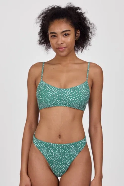 Jolyn Ava Bikini Bottom