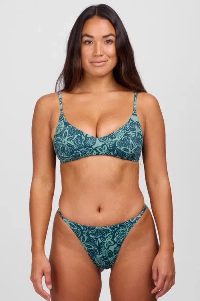 Jolyn Brooklyn Bikini Bottom
