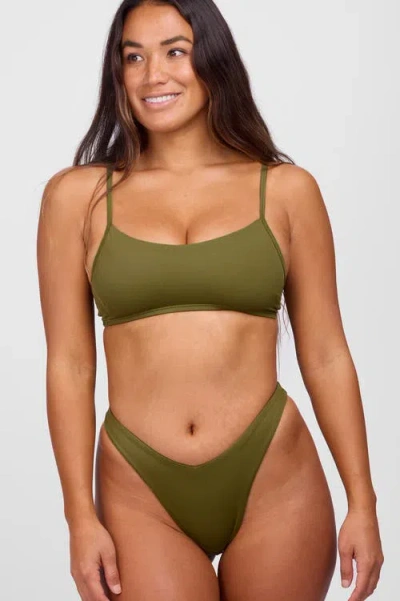 Jolyn Delphine Bikini Top In Green