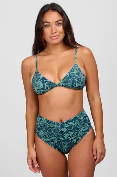 Jolyn Elena Bikini Bottom In Brown