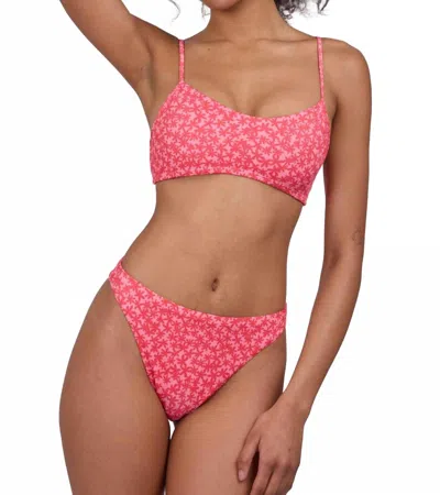 Jolyn Haliewa Bikini Bottom In Sea Star In Pink