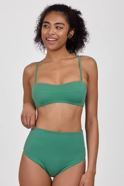 Jolyn Janna Bikini Bottom In Green