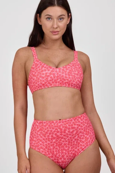 Jolyn Janna Bikini Bottom In Orange