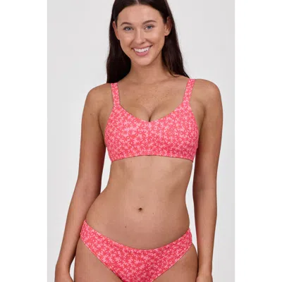 Jolyn Kacey Bikini Top