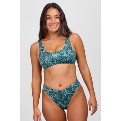 Jolyn Layla Bikini Bottom In Brown