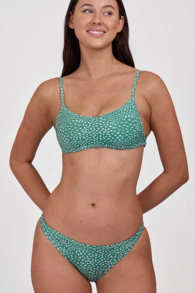 Jolyn Melissa Bikini Bottom In Blue