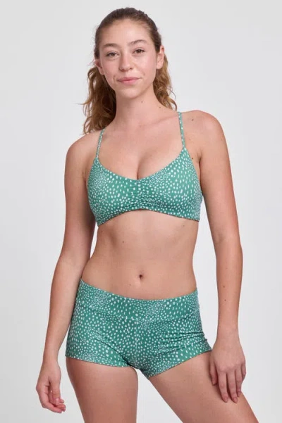 Jolyn Piha Surf Short