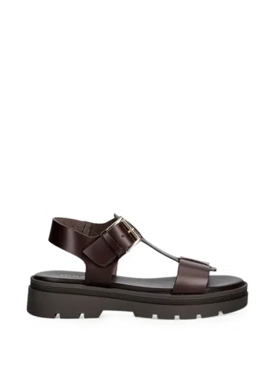 Jonak Paris Lisbonne Buckle-fastening Sandals In Brown