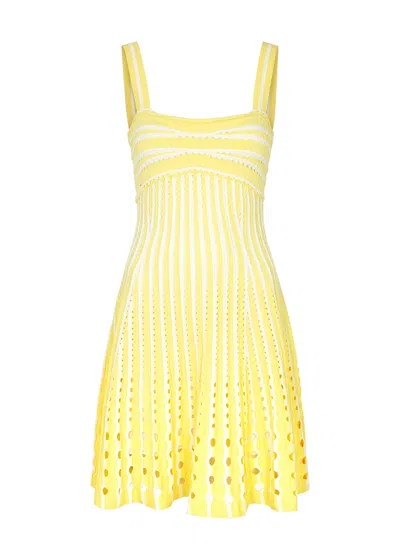 Jonathan Simkhai Franklin Open-knit Mini Dress In Yellow