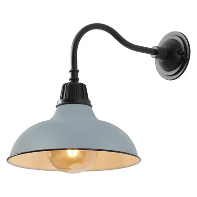 Jonathan Y Aurora 1-light Farmhouse Industrial Indoor/outdoor Iron Led Gooseneck Arm Outdoor Sconce