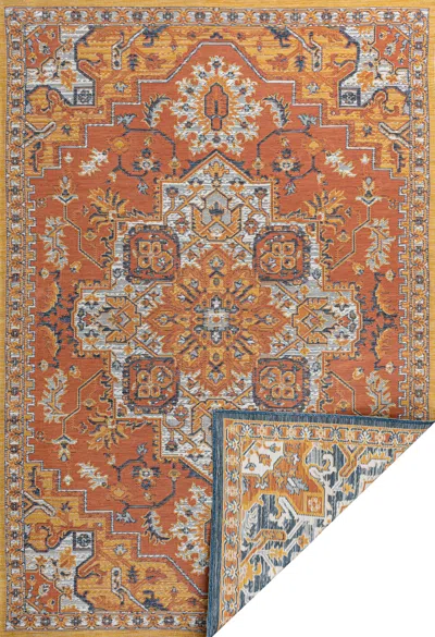 Jonathan Y Bijan Traditional Vintage Medallion Reversible Machine-washable Terra/blue/cream Indoor/outdoor Area In Multi