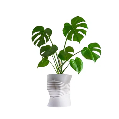 Jonathan Y Brent Midcentury Modern Indoor Crushed Can Eco-friendly 3d Printed Planter With Drainage In Transparent