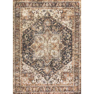 Jonathan Y Chapell Chenille Traditional Medallion Machine-washable Area Rug In Black/terra