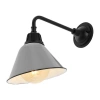 Jonathan Y Croydon 1-light Farmhouse Industrial Indoor/outdoor Iron Led Gooseneck Arm Outdoor Sconce In Gray/black