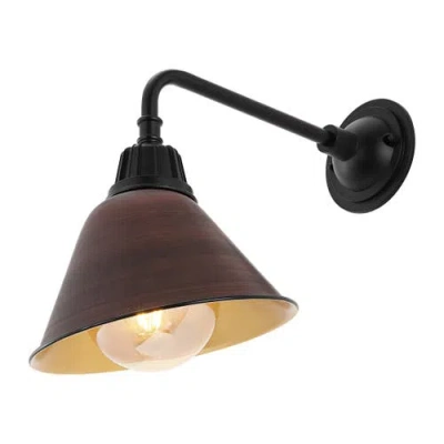 Jonathan Y Croydon 1-light Farmhouse Industrial Indoor/outdoor Iron Led Gooseneck Arm Outdoor Sconce In Wood Finish/black