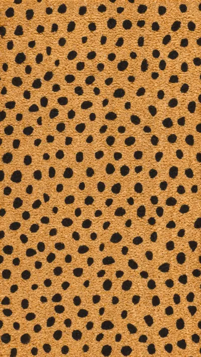 Jonathan Y Daphne Modern Classic Animal-spot Bordered Coir Indoor/outdoor Area Rug