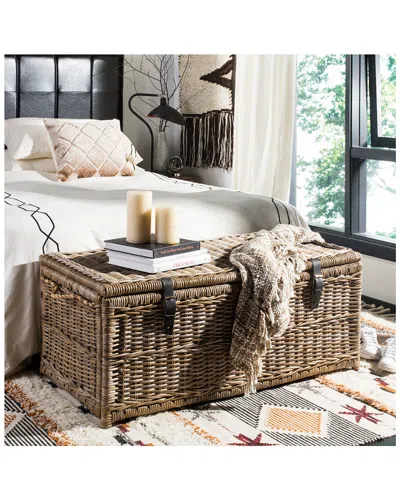 Jonathan Y Designs Caden Wicker Storage Trunk In Brown