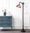 Jonathan Y Dragonfly Tiffany-style 60" Arched Led Floor Lamp