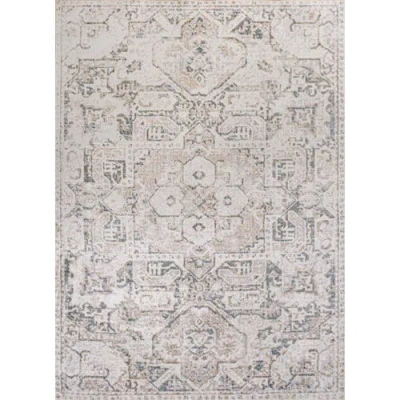 Jonathan Y Edith Distressed Medallion Low-pile Machine-washable Area Rug In Cream/light Gray