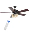 Jonathan Y Erin Ceiling Fan
