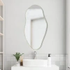 Jonathan Y Everly Irregular Framed Decorative Wall Mirror In Metallic