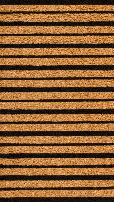 Jonathan Y Hadley Modern Classic Ticking Stripe Coir Indoor/outdoor Area Rug In Black