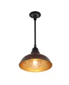 Jonathan Y Jasper 12.25" 1-light Farmhouse Industrial Indoor, Outdoor Iron Led Pendant