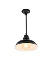 Jonathan Y Jasper 12.25" 1-light Farmhouse Industrial Indoor, Outdoor Iron Led Pendant In Multi