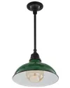 Jonathan Y Jasper Farmhouse Industrial Indoor/outdoor Pendant In Green