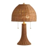 Jonathan Y Joanie 22" Bohemian Rustic Iron Led Table Lamp In Brown