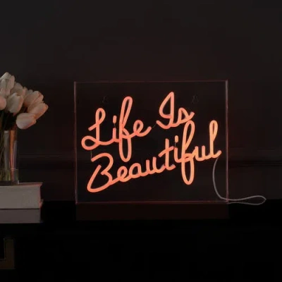 Jonathan Y Life Contemporary Glam Acrylic Box Usb Operated Led Neon Light In Orange