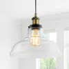 Jonathan Y Litchfield 11" Farmhouse Metal/glass Led Pendant