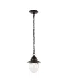 Jonathan Y Manteo 8.25" 1-light Farmhouse Industrial Iron, Glass Outdoor Led Pendant