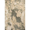 Jonathan Y Marmo Abstract Marbled Modern Area Rug In Gold/gray